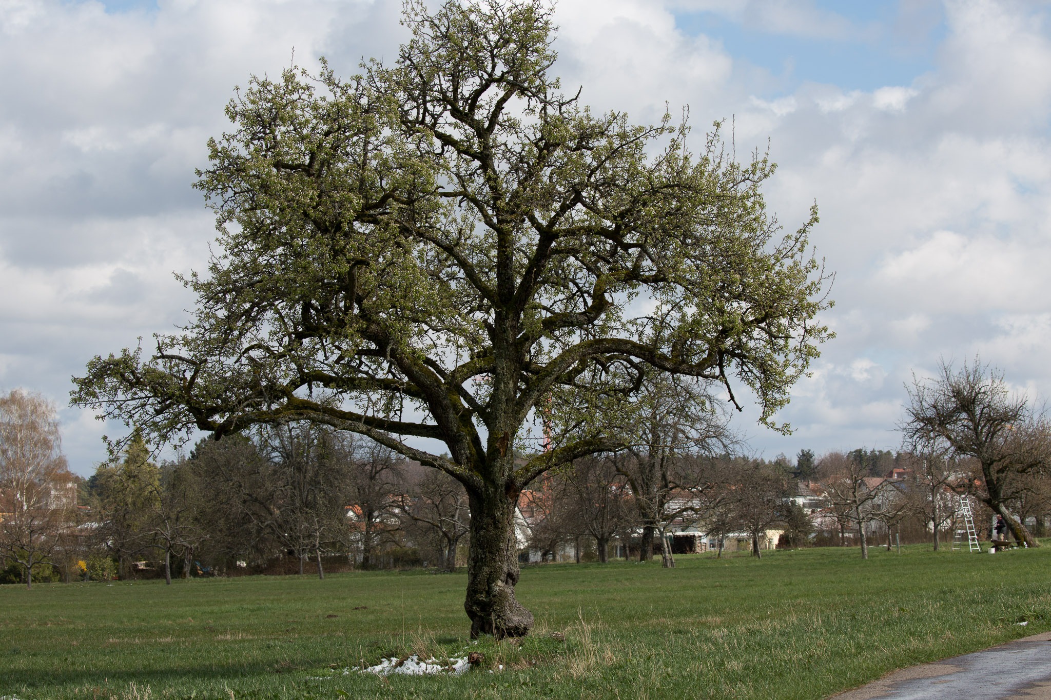 20220409153933 3K6A1943